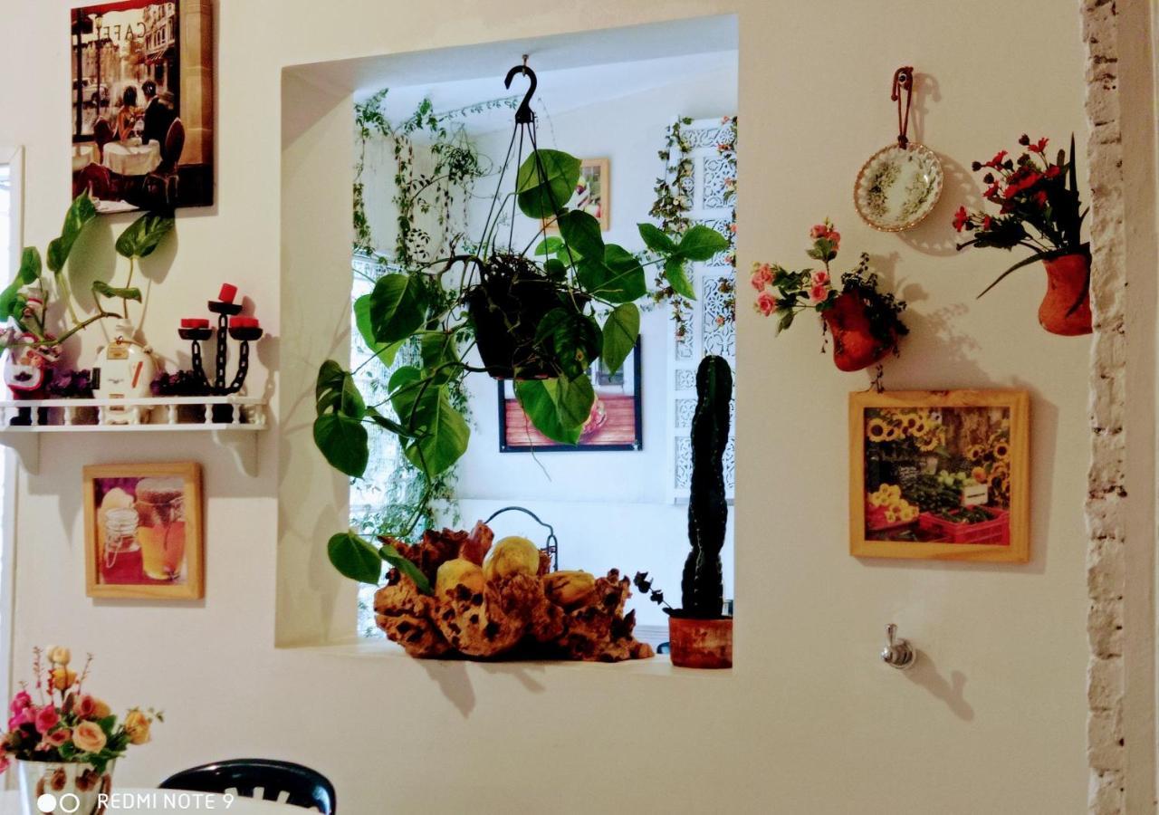 Hotel Boutique Los Remansos Palmira  Dış mekan fotoğraf